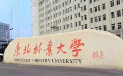 东北林业大学认可度