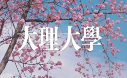 大理大学研究生k8凯发国际登录官网yjsc.dali.edu.cn