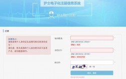 护士电子化注册入口登陆https://cnnursys.cn/home/index