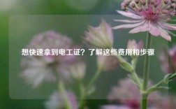 想快速拿到电工证？了解这些费用和步骤