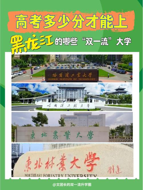 东北农业大学是双一流吗-图1