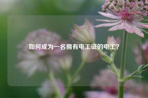 如何成为一名拥有电工证的电工？-图1