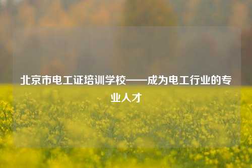 北京市电工证培训学校——成为电工行业的专业人才-图1